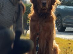 -杭州城北体育公园