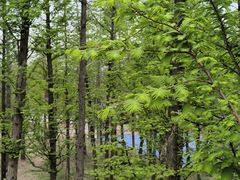 -青州市云门山风景区