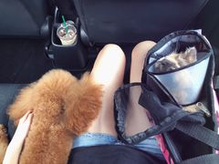 -爱诺耐芙动物医院(万博店)