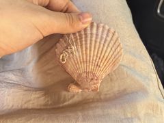 -大连双兴商品城