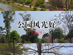 -东莞植物园