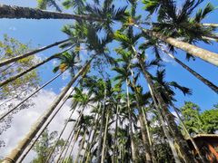 -七仙岭温泉国家森林公园