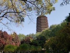 -玲珑塔公园