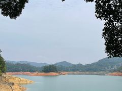 -广州市流溪河国家森林公园