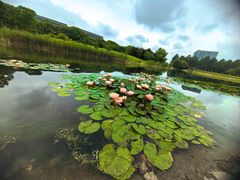 -同济大学(嘉定校区)