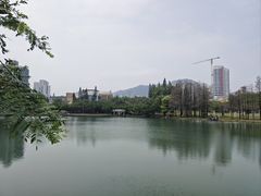 -四海公园(南山区)