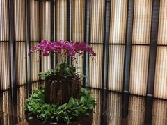 -上海璞麗酒店