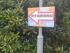 -前小桔亲子创意农场·草莓采摘·露营烧烤