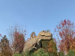 -南京枫彩漫城