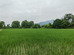 -黟县屏山村