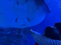 -太平洋海底世界