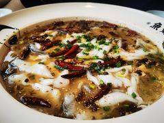 老坛酸菜鲈鱼-江渔儿酸菜鱼(港湾1号店)