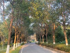 -火炉山森林公园