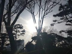 -迎泽公园