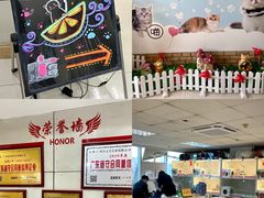 -lincat·猫舍(广州店)