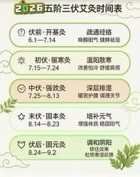 -YESIDO椰岛美容