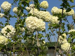 -茅草房·河畔园林火锅