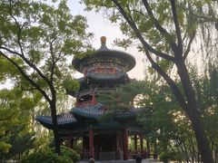 -迎泽公园