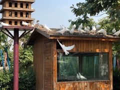 -西安秦岭野生动物园