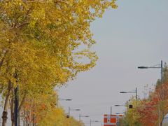 -田园东方蜜桃村的田野营地