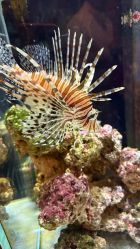 -Zoolung Zoolung动物主题公园(海信广场店)