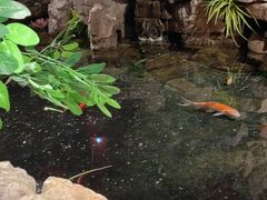 -鱼满舱·鲜活海鲜·正宗鲁菜