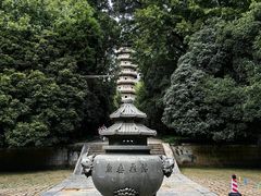 -灵谷景区