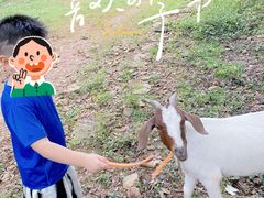 -青龙山国家森林公园