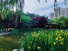 -木塔寺遗址生态公园