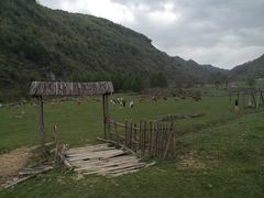 -狮子沟牧场