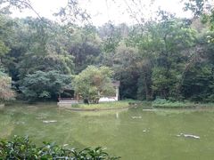 -紫霞湖公园
