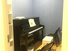 -珠江钢琴艺术中心(文一路店)