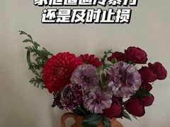 -王丽律师团队·专注婚姻家事(黄浦店)