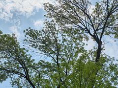 -芝兰斋糕干店(平山道店)