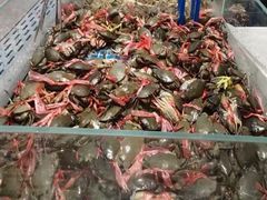 -半岛听涛蒸汽海鲜自助(K11店)