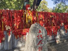 -大槐树寻根祭祖园