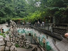 -成都动物园