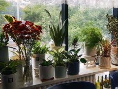 -懒人盐府人家(航天桥店)