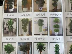 -研筑国际设计事务所(总店)
