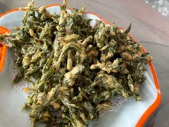 -向外鱼乐·土菜·虹鳟鱼