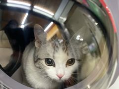 -爱侣宠医·鹦鹉专科·小型哺乳类·异宠专科(灵石路店)