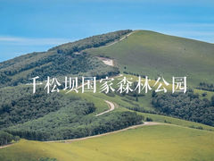 -丰宁坝上草原