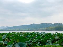 -湖畔居茶楼(湖滨店)