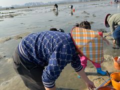 -北海金海湾红树林生态旅游区
