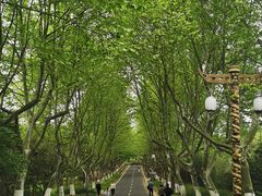 -宜兴龙背山森林公园