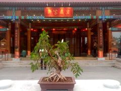 门面-那家小馆•北京菜•烤鸭(香山店)