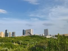 -小河公主秘制烤羊腿(小绿谷店)
