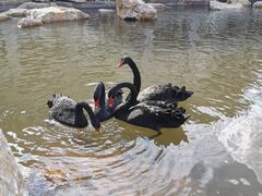 -西昌邛海宾馆