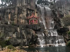 -金鸡山公园