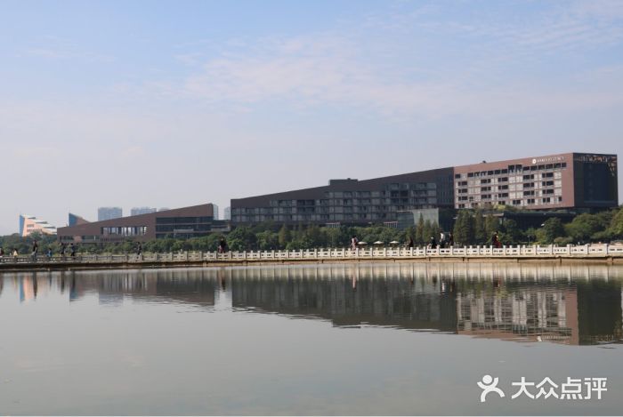 松山湖南湖湾露营营地图片